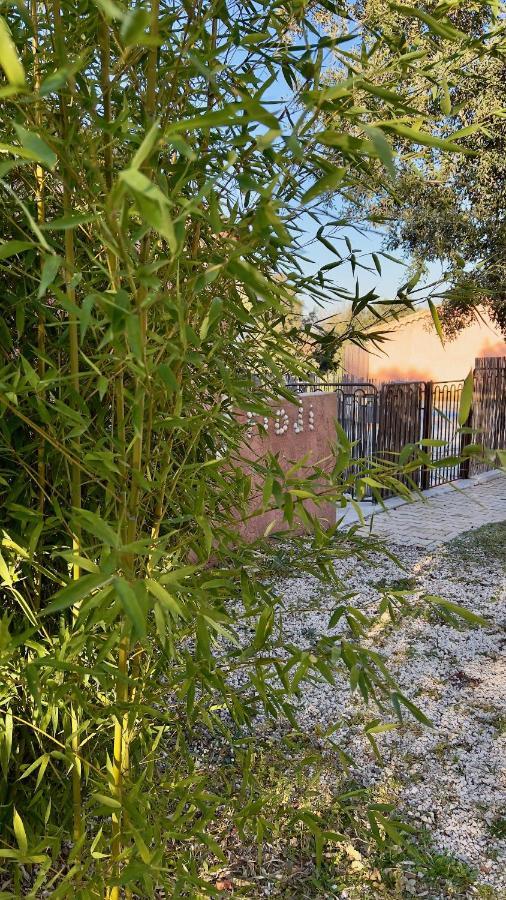 La Rose Des Vents Chambres D'Hotes & Spa Néoules エクステリア 写真
